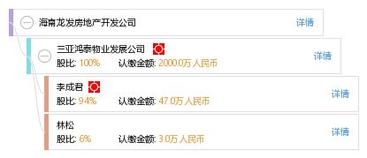 海南龍發(fā)房地產開發(fā)公司 企業(yè)信息綜合查詢與房地產咨詢指南